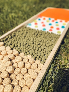 Senso PANELORAMA "CRAZY"  