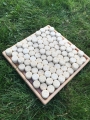 123661253_473551733620451_7267403861095617072_n